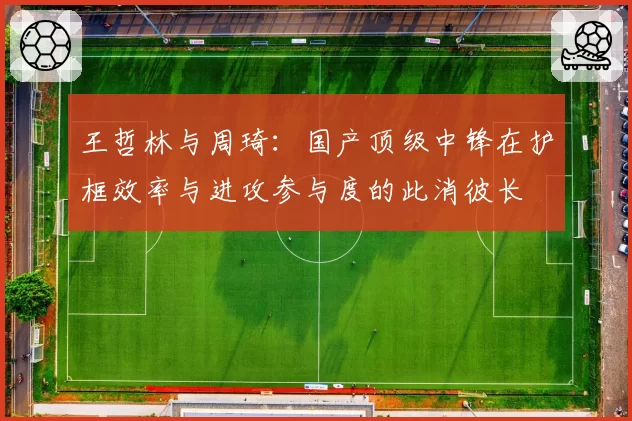王哲林与周琦：国产顶级中锋在护框效率与进攻参与度的此消彼长
