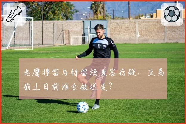老鹰穆雷与特雷杨兼容存疑，交易截止日前谁会被送走？