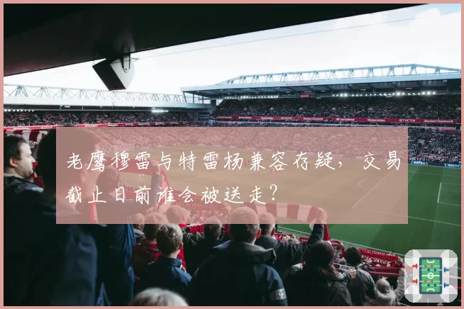 老鹰穆雷与特雷杨兼容存疑，交易截止日前谁会被送走？