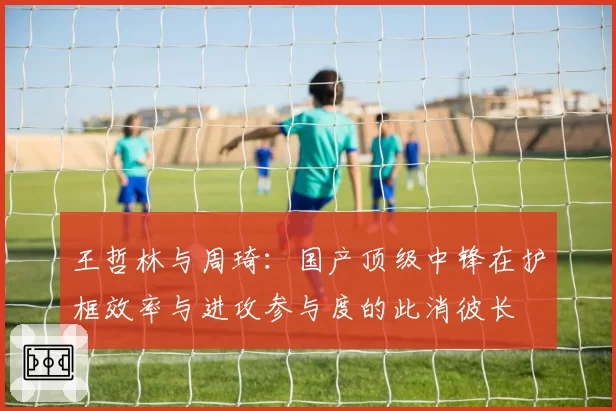 王哲林与周琦：国产顶级中锋在护框效率与进攻参与度的此消彼长