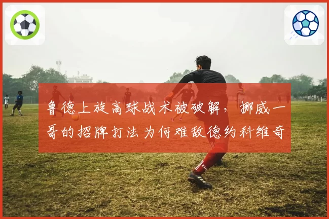 鲁德上旋高球战术被破解，挪威一哥的招牌打法为何难敌德约科维奇？